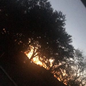 Meet your Posher, Yamilex